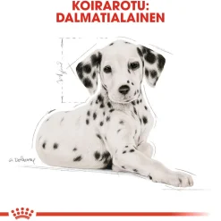 Royal Canin Penturuoka|Koiran Kuivaruoka*Breed Dalmatian Puppy