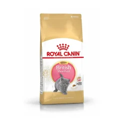 Royal Canin Kissanpennun Ruoka|Tarjoukset Kissoille*British Shorthair Kitten, 2 kg