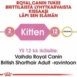 Royal Canin Kissanpennun Ruoka|Tarjoukset Kissoille*British Shorthair Kitten, 2 kg