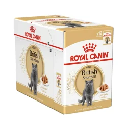 Royal Canin Kissan Märkäruoka|Tarjoukset Kissoille*British Shorthair Wet 12 x 85g