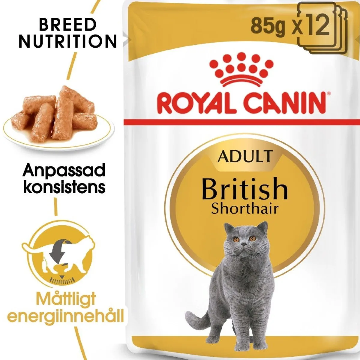 Royal Canin Kissan Märkäruoka*British Shorthair 85g, 48-pack