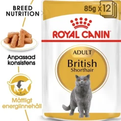 Royal Canin Kissan Märkäruoka*British Shorthair 85g, 48-pack