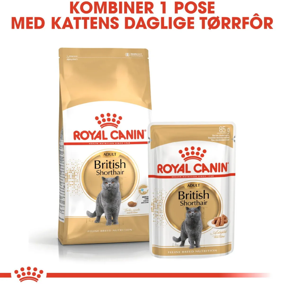 Royal Canin Kissan Märkäruoka*British Shorthair 85g, 48-pack