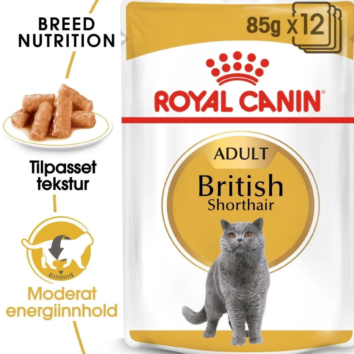 Royal Canin Kissan Märkäruoka*British Shorthair 85g, 48-pack