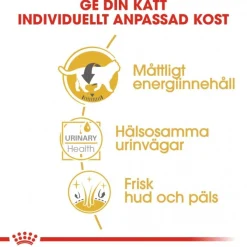 Royal Canin Kissan Märkäruoka*British Shorthair 85g, 48-pack