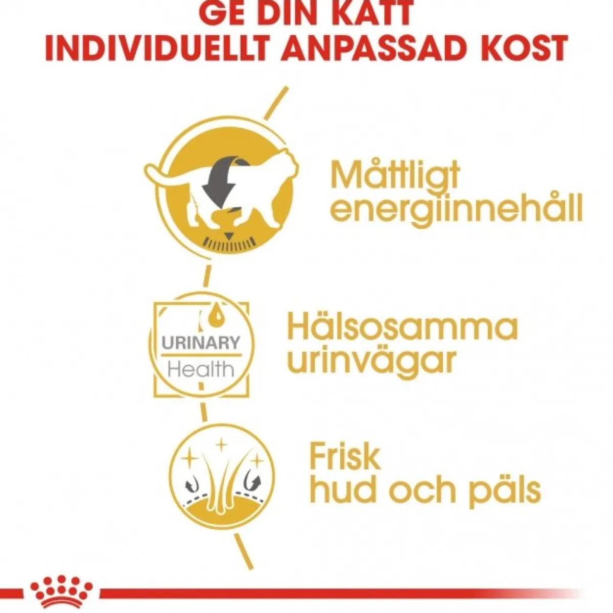 Royal Canin Kissan Märkäruoka*British Shorthair 85g, 48-pack