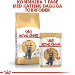 Royal Canin Kissan Märkäruoka*British Shorthair 85g, 48-pack