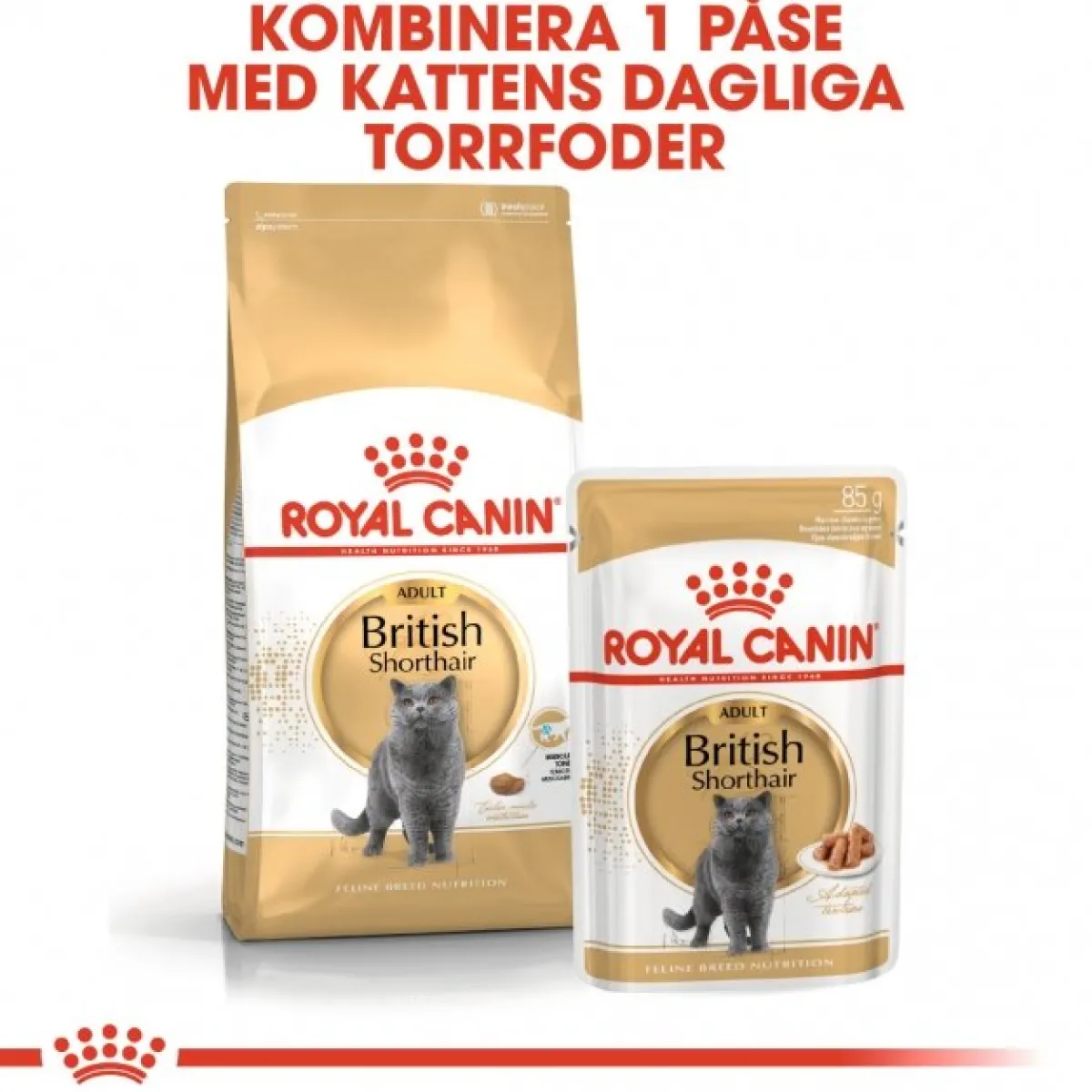 Royal Canin Kissan Märkäruoka*British Shorthair 85g, 48-pack