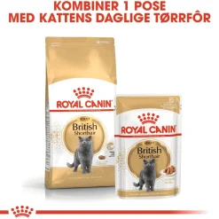 Royal Canin Kissan Märkäruoka*British Shorthair 85g, 48-pack