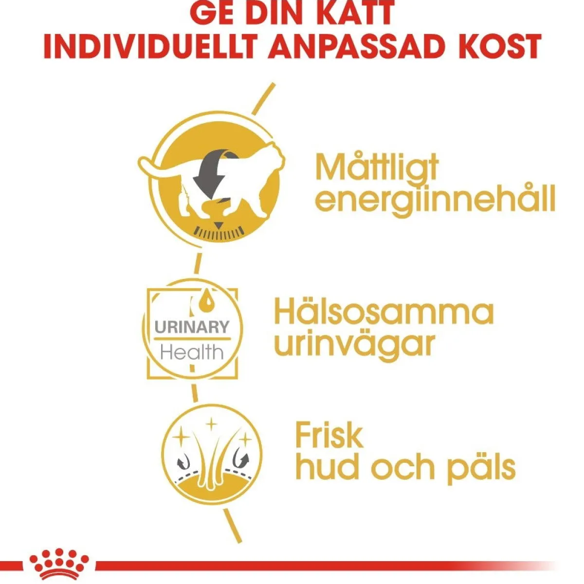 Royal Canin Kissan Märkäruoka*British Shorthair 85g, 48-pack