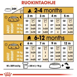 Royal Canin Penturuoka|Koiran Kuivaruoka*Bulldog Puppy 12 kg
