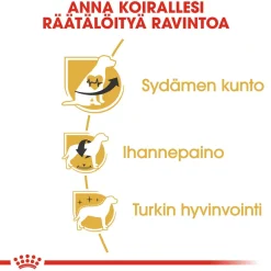 Royal Canin Koiran Kuivaruoka|Tarjoukset Koirille*Cavalier Adult