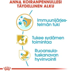 Royal Canin Penturuoka|Koiran Kuivaruoka*Cavalier Puppy 1,5 kg