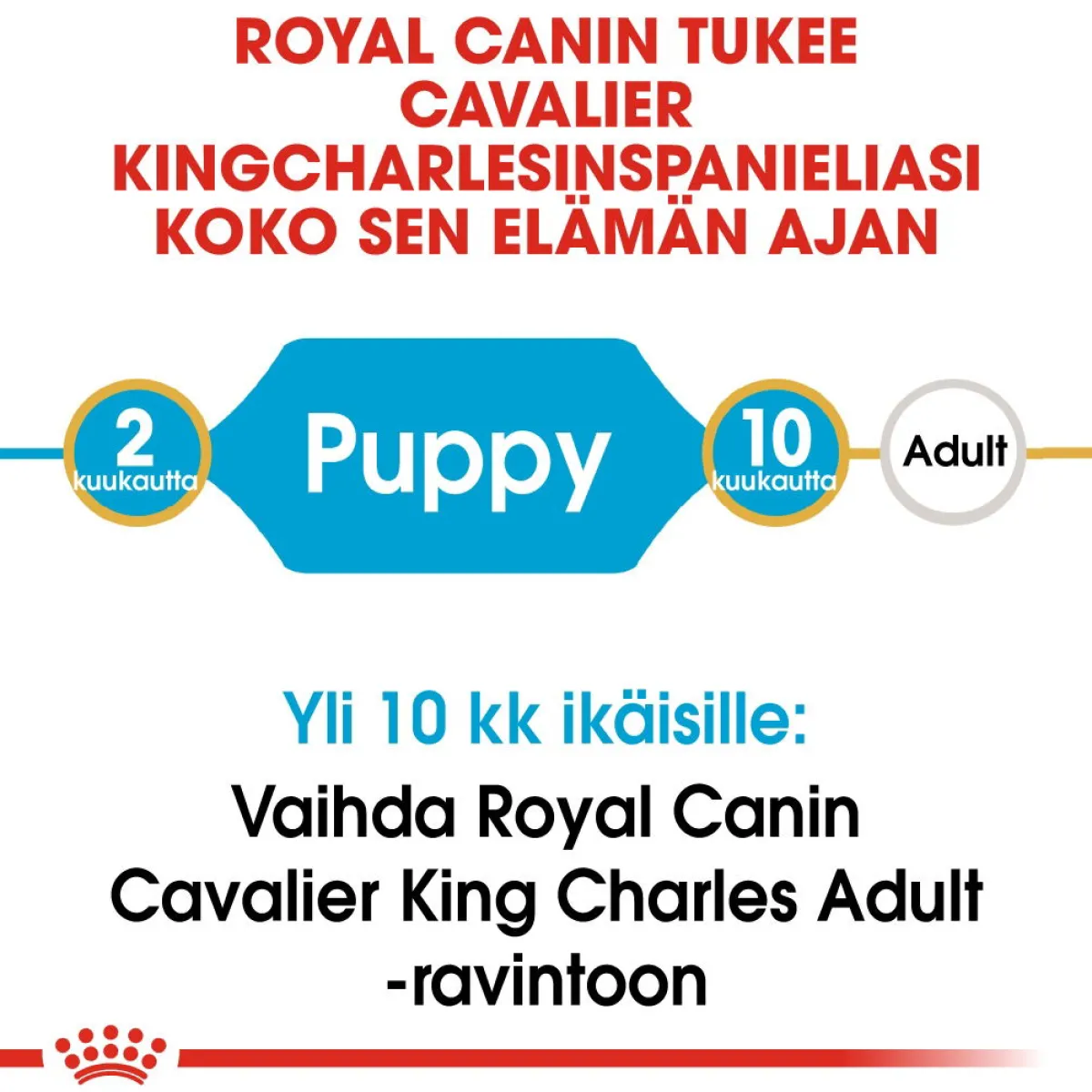 Royal Canin Penturuoka|Koiran Kuivaruoka*Cavalier Puppy 1,5 kg