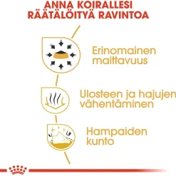 Royal Canin Koiran Kuivaruoka|Tarjoukset Koirille*Chihuahua Adult