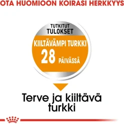Royal Canin Koiranruoat Erityistapeisiin|Koiran Kuivaruoka*Coat Care Mini