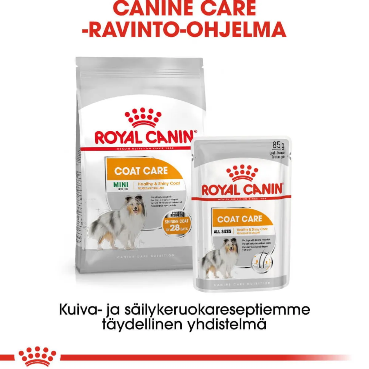 Royal Canin Koiranruoat Erityistapeisiin|Koiran Märkäruoka Ja Makkarat*Coat Care wet 12 x 85 g