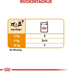 Royal Canin Koiranruoat Erityistapeisiin|Koiran Märkäruoka Ja Makkarat*Coat Care wet 12 x 85 g