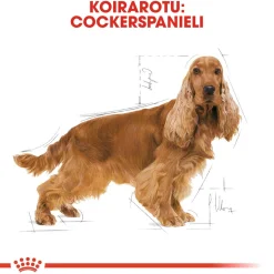 Royal Canin Koiran Kuivaruoka|Tarjoukset Koirille*Cocker Adult