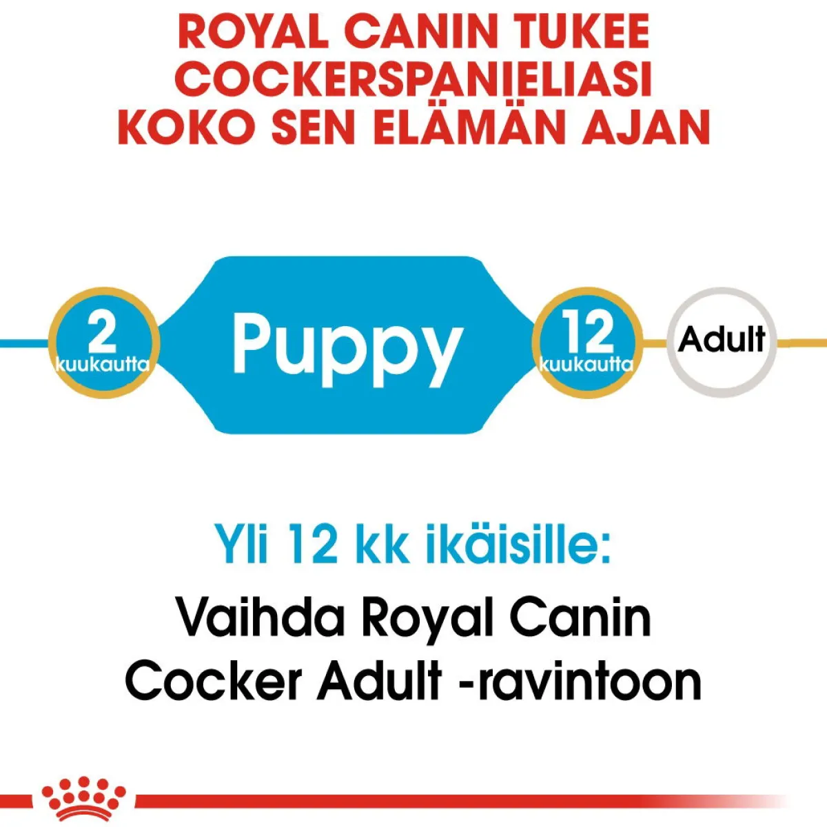 Royal Canin Penturuoka|Koiran Kuivaruoka*Cocker Puppy 3 kg