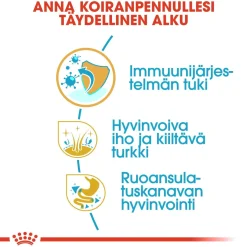 Royal Canin Penturuoka|Koiran Kuivaruoka*Cocker Puppy 3 kg