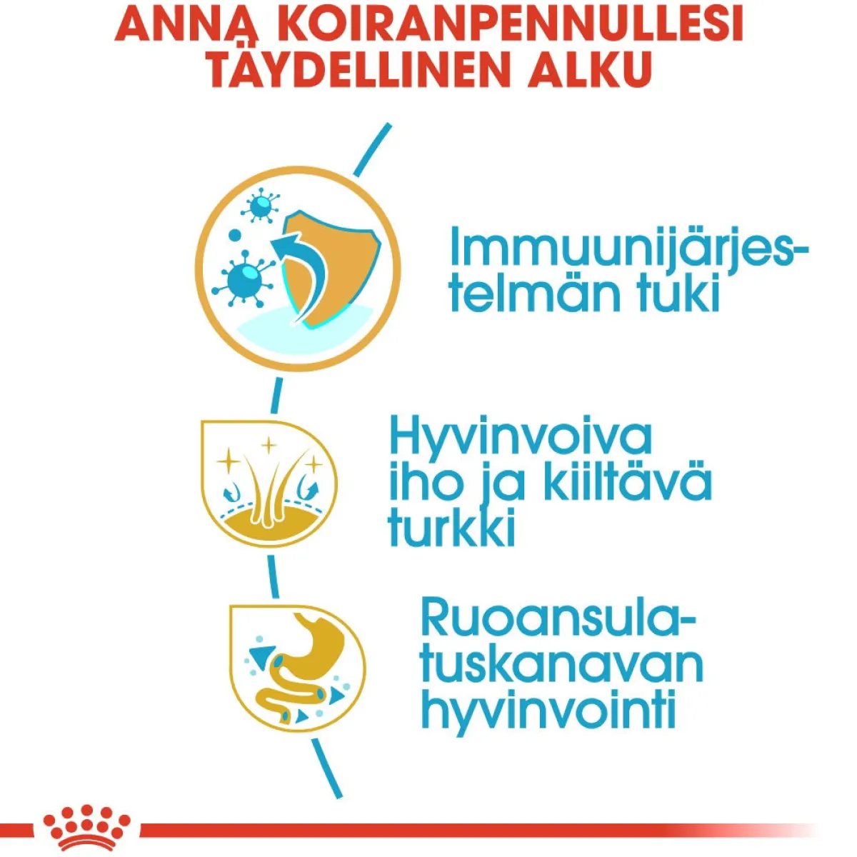 Royal Canin Penturuoka|Koiran Kuivaruoka*Cocker Puppy 3 kg