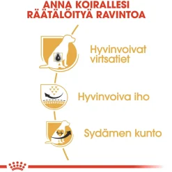 Royal Canin Koiran Kuivaruoka|Tarjoukset Koirille*Dalmatian Adult 12 kg