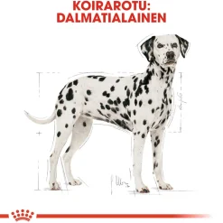 Royal Canin Koiran Kuivaruoka|Tarjoukset Koirille*Dalmatian Adult 12 kg