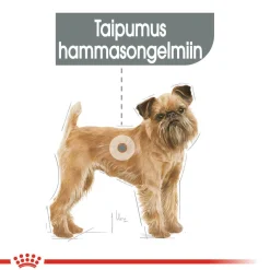 Royal Canin Koiran Kuivaruoka*Dental Care Mini