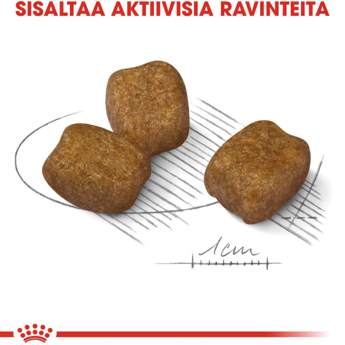 Royal Canin Koiran Kuivaruoka*Dental Care Mini