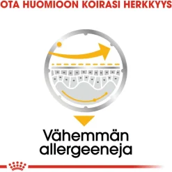Royal Canin Koiranruoat Erityistapeisiin|Koiran Märkäruoka Ja Makkarat*Dermacomfort wet 12 x 85 g
