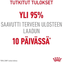 Royal Canin Kissan Kuivaruoka|Kissan Erikoisruoat*Digestive Care