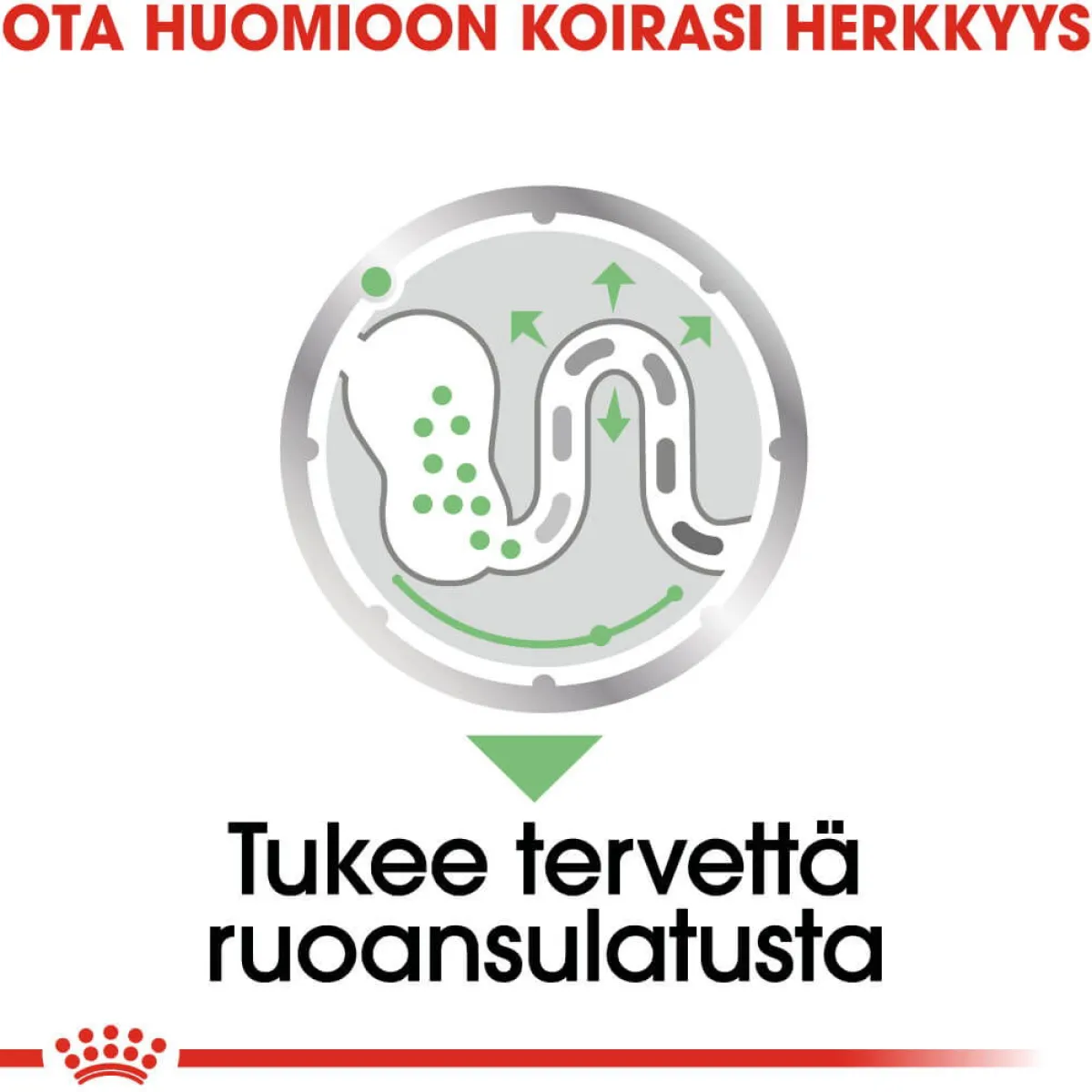 Royal Canin Koiran Märkäruoka Ja Makkarat*Digestive Care wet 48x85 g
