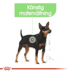 Royal Canin Koiran Märkäruoka Ja Makkarat*Digestive Care wet 48x85 g