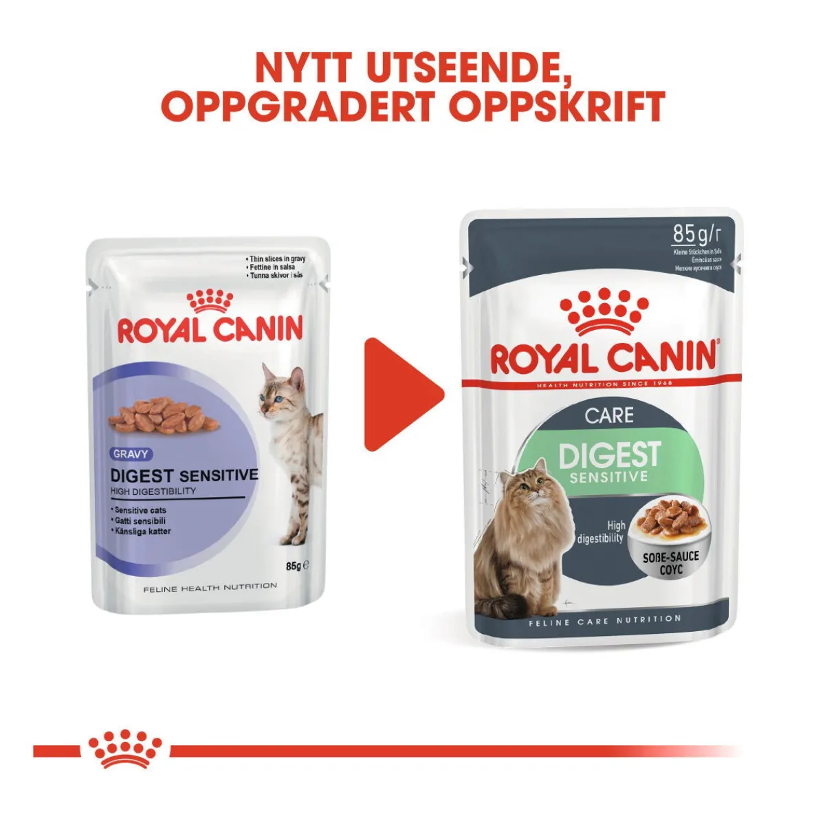 Royal Canin Kissan Märkäruoka*Digest Sensitive Gravy 85g, 48-pack