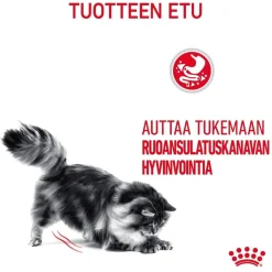 Royal Canin Kissan Märkäruoka*Digest Sensitive Gravy 85g, 48-pack
