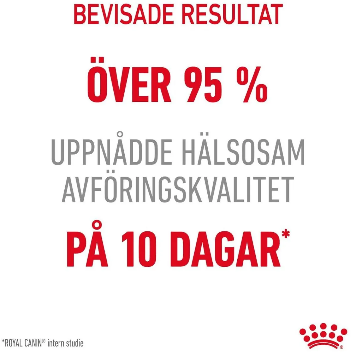 Royal Canin Kissan Märkäruoka*Digest Sensitive Gravy 85g, 48-pack