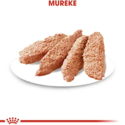 Royal Canin Koiran Märkäruoka Ja Makkarat*Exigent wet 12 x 85 g