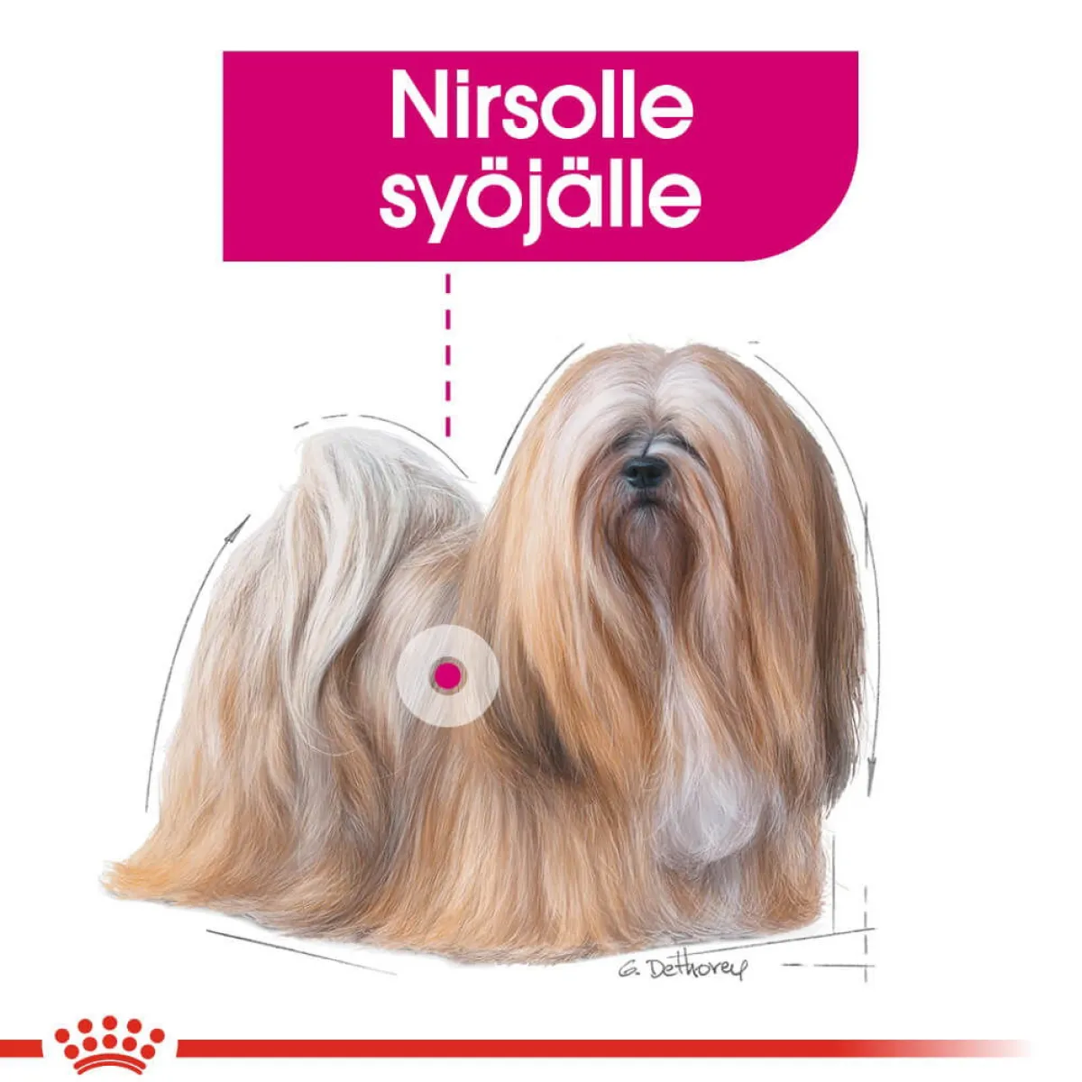 Royal Canin Koiran Märkäruoka Ja Makkarat*Exigent wet 12 x 85 g