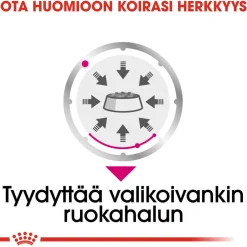 Royal Canin Koiran Märkäruoka Ja Makkarat*Exigent wet 12 x 85 g