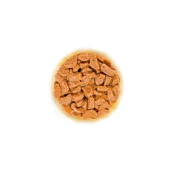 Royal Canin Kissan Märkäruoka*FHN Ageing 11+ kastikeessa 12 x 85 g