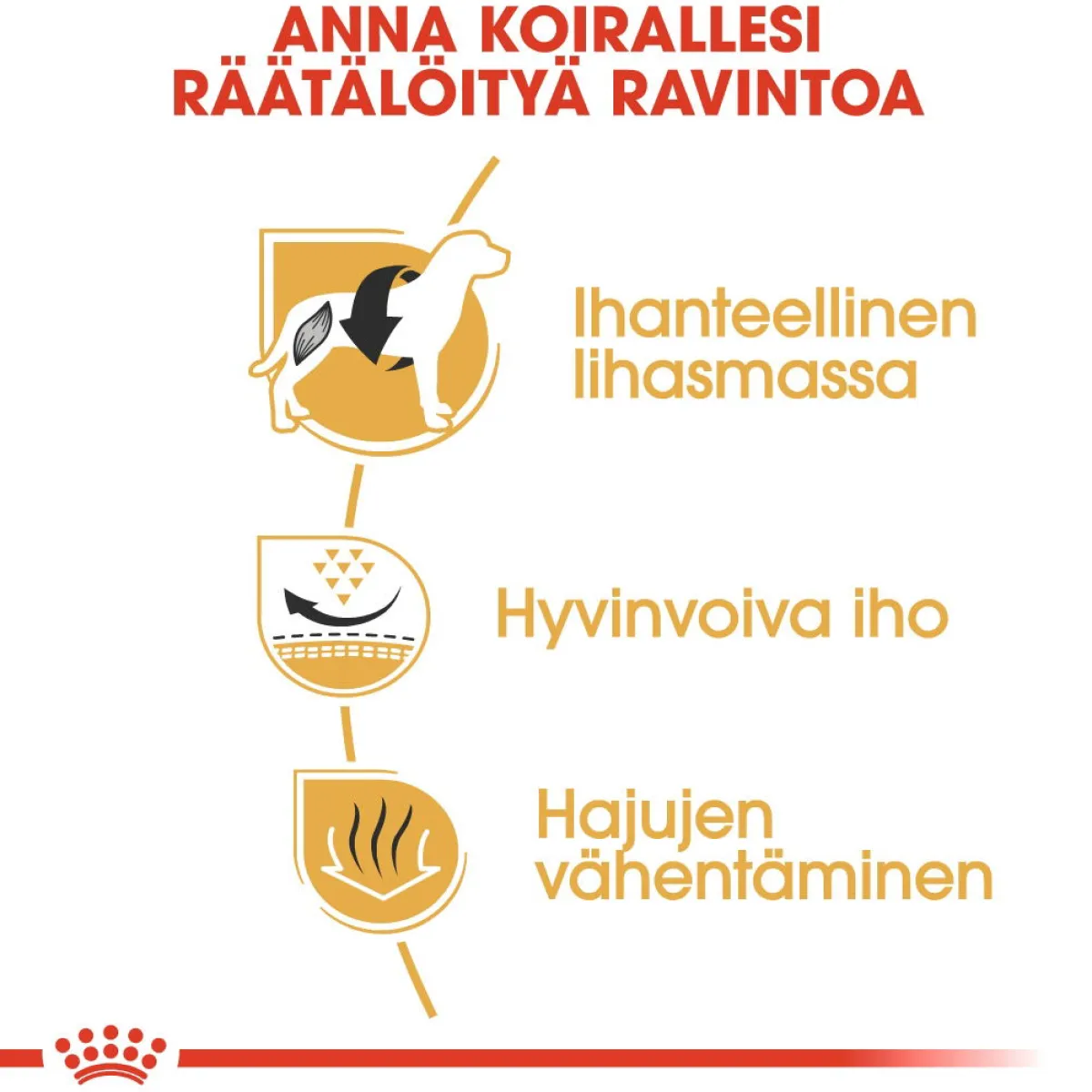 Royal Canin Koiran Kuivaruoka|Tarjoukset Koirille*French Bulldog Adult