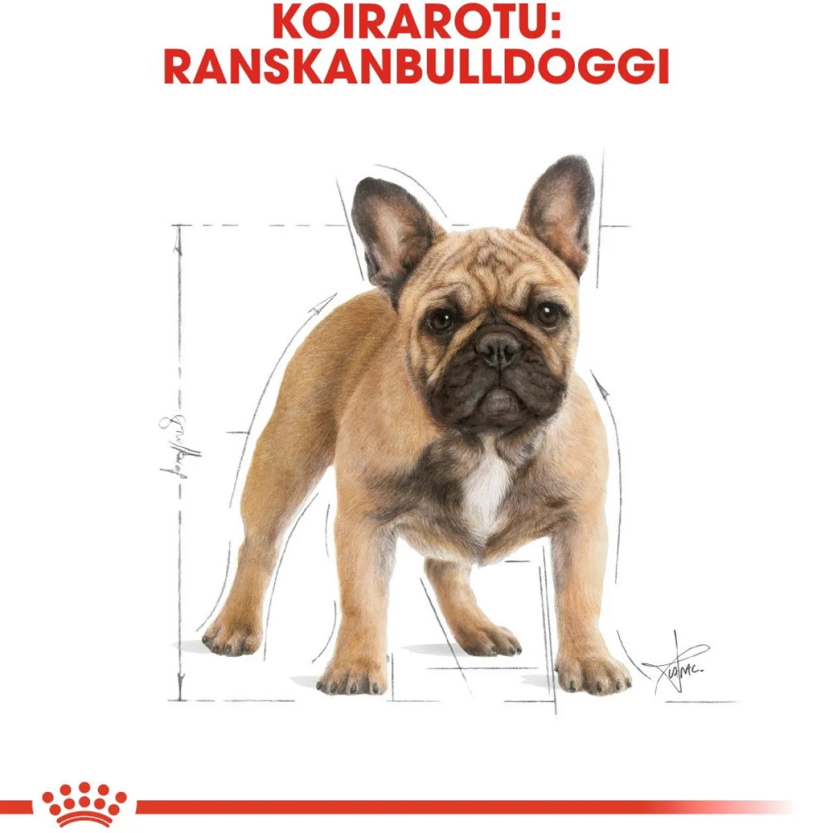 Royal Canin Koiran Kuivaruoka|Tarjoukset Koirille*French Bulldog Adult