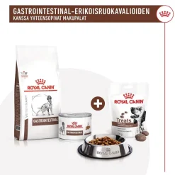 Royal Canin Veterinary Diets Eläinlääkäriherkut|Koiran Eläinlääkäriruoka*Royal Canin Gastrointestinal Treats 230 g
