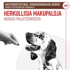 Royal Canin Veterinary Diets Eläinlääkäriherkut|Koiran Eläinlääkäriruoka*Royal Canin Gastrointestinal Treats 230 g