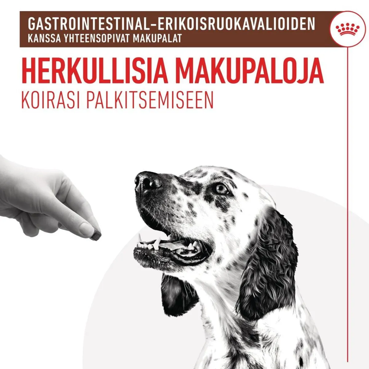 Royal Canin Veterinary Diets Eläinlääkäriherkut|Koiran Eläinlääkäriruoka*Royal Canin Gastrointestinal Treats 230 g