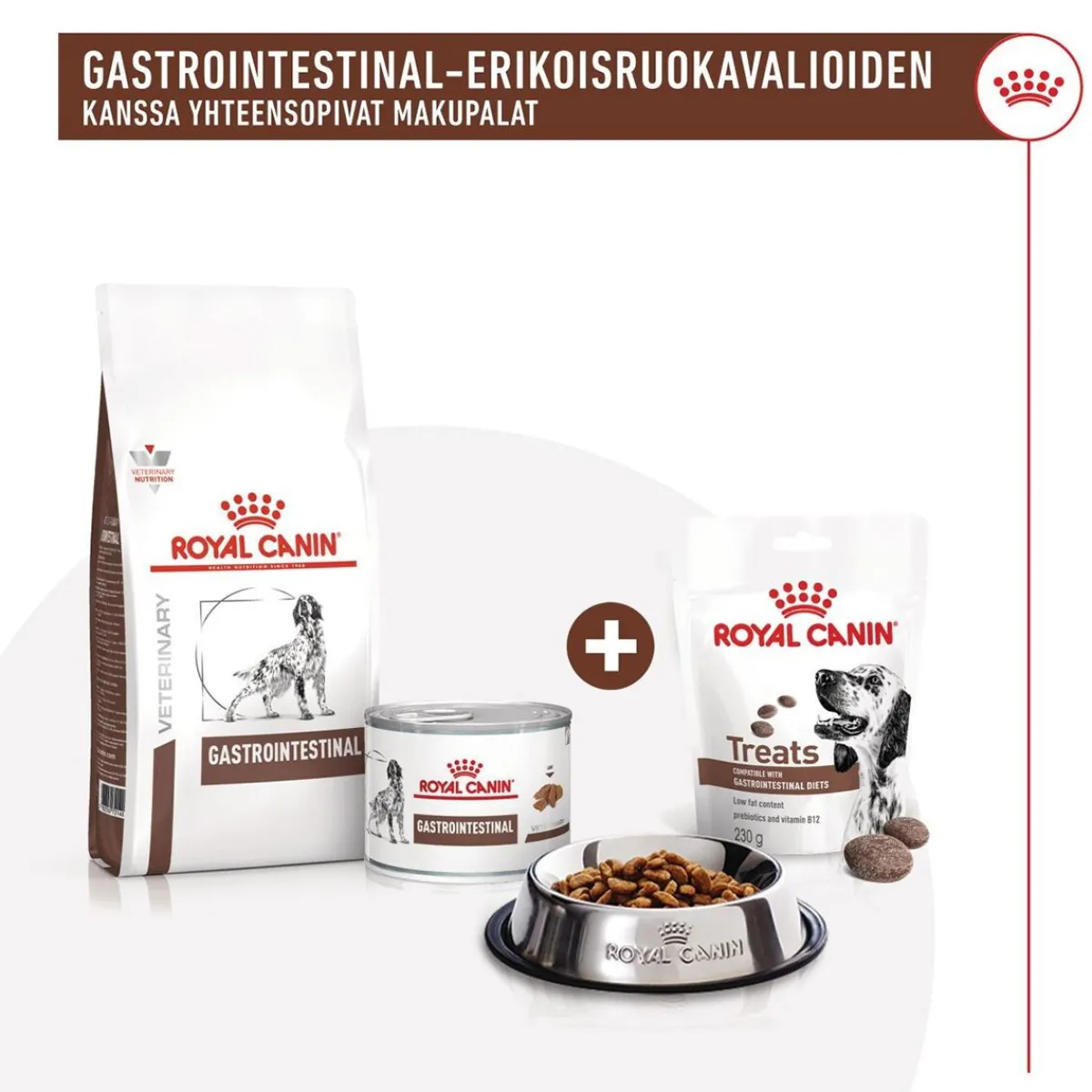Royal Canin Veterinary Diets Eläinlääkäriherkut|Koiran Eläinlääkäriruoka*Royal Canin Gastrointestinal Treats 230 g