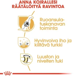 Royal Canin Koiran Kuivaruoka|Tarjoukset Koirille*German Shepherd Adult 11 kg