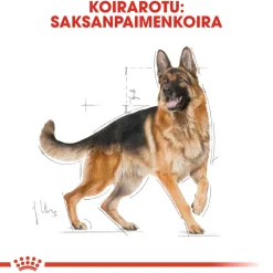 Royal Canin Koiran Kuivaruoka|Tarjoukset Koirille*German Shepherd Adult 11 kg