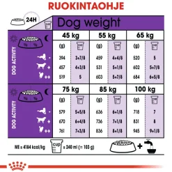 Royal Canin Koiran Kuivaruoka*Giant Adult 15 kg